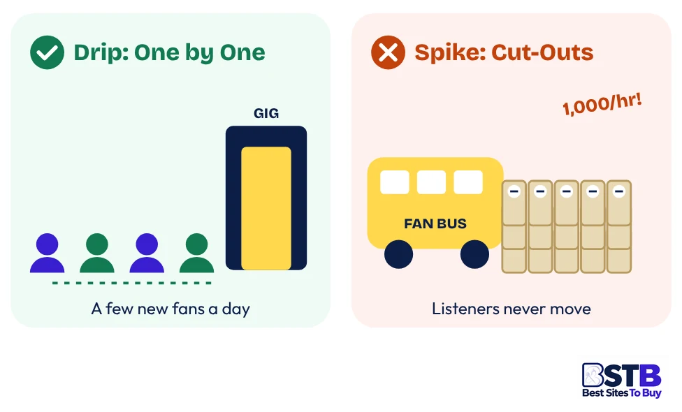 Drip-feed versus spike delivery when you buy Spotify followers