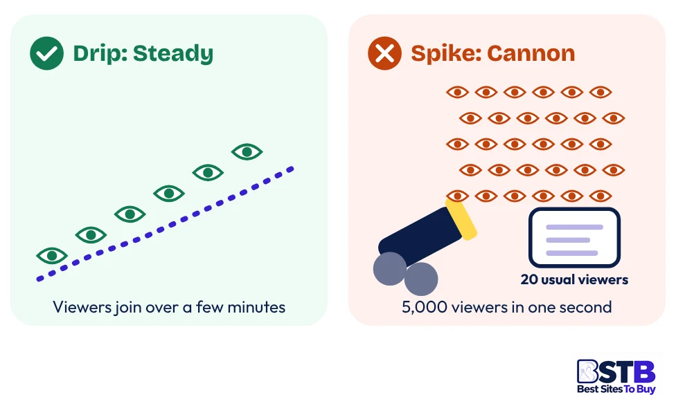 Drip-feed versus spike delivery when you buy TikTok live views