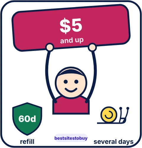 Buy Twitter followers from Bulkoid at a glance: refill 60 days, several days delivery, from $5.00