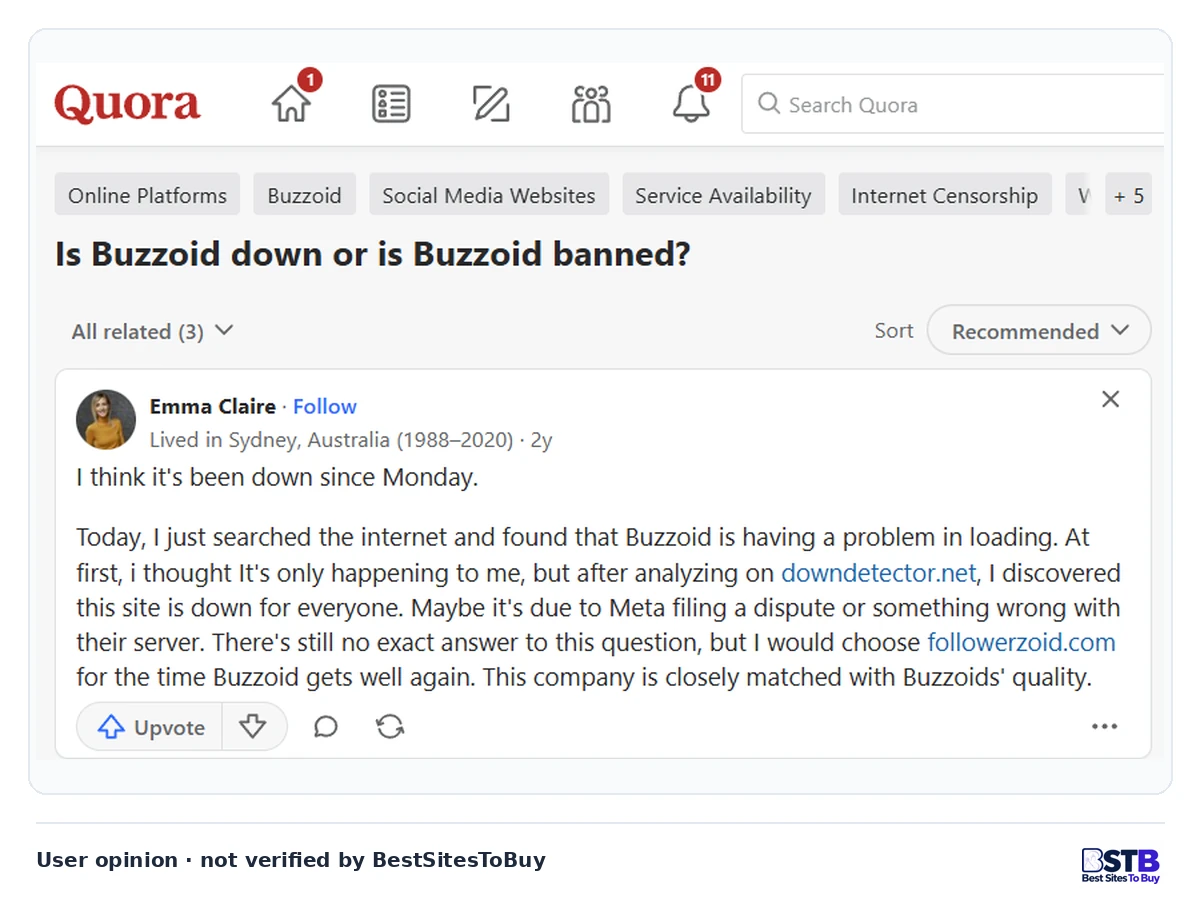 Quora answer to "Is Buzzoid down or is Buzzoid banned?" saying the site would not load for days and suggesting another seller