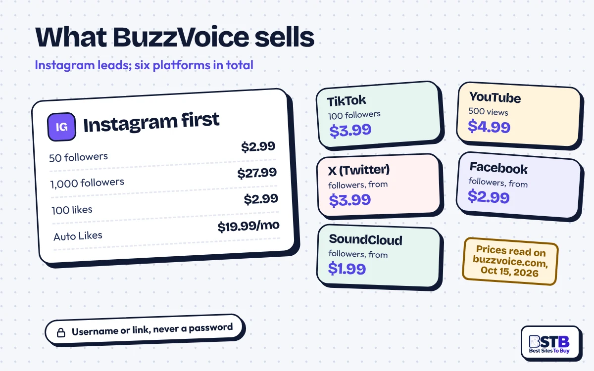 What BuzzVoice sells: Instagram followers and likes first, then TikTok, YouTube, X, Facebook and SoundCloud