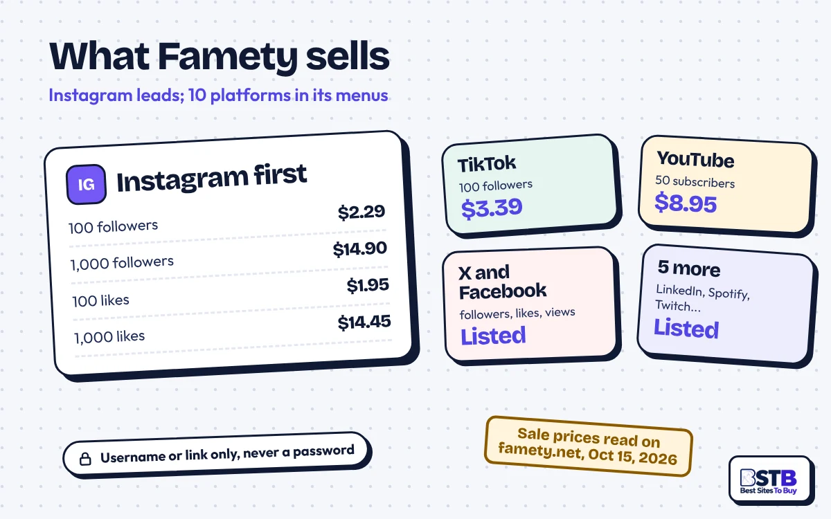 What Famety sells: Instagram followers and likes first, then TikTok, YouTube, X, Facebook and five more