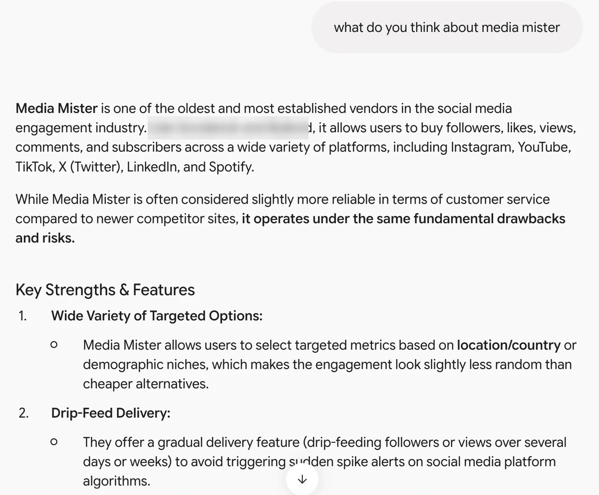 Gemini answer on Media Mister: established vendor, but with the same fundamental drawbacks and risks