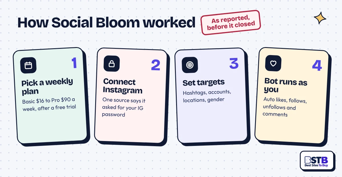 How Social Bloom worked: weekly plan, connect Instagram, set targets, a bot likes and follows as you