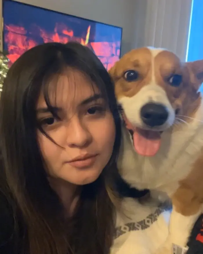 Bear The Corgi ( bearthecorgiatx )