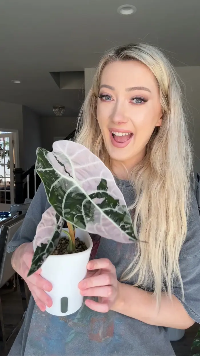 Catherine Cahoon ( botanicallyinsane )