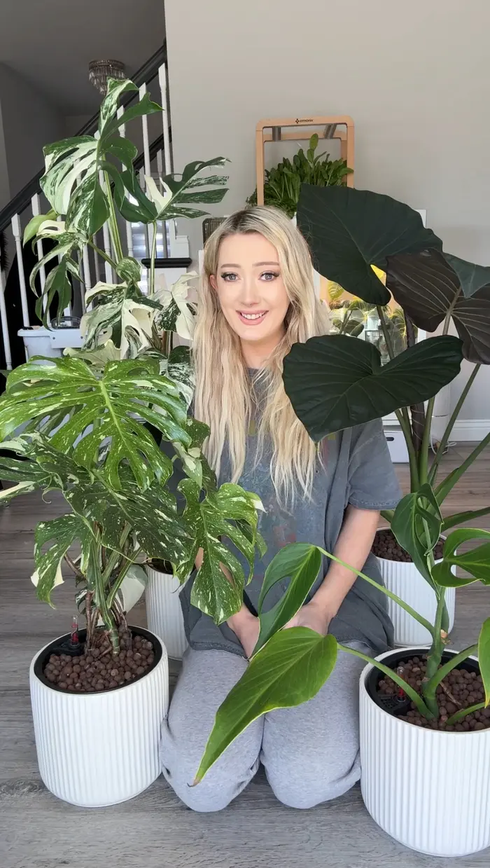Catherine Cahoon ( botanicallyinsane )