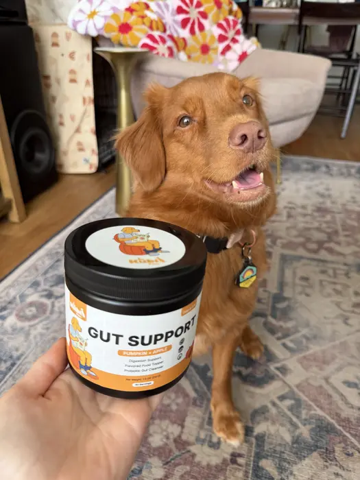 Caramel Toller ( caramelthetollernyc )