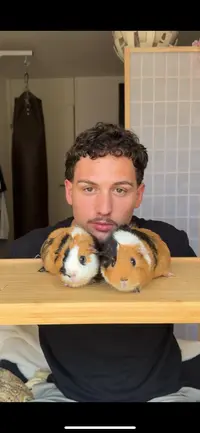 Jonah Stalder ( casadepiggys )