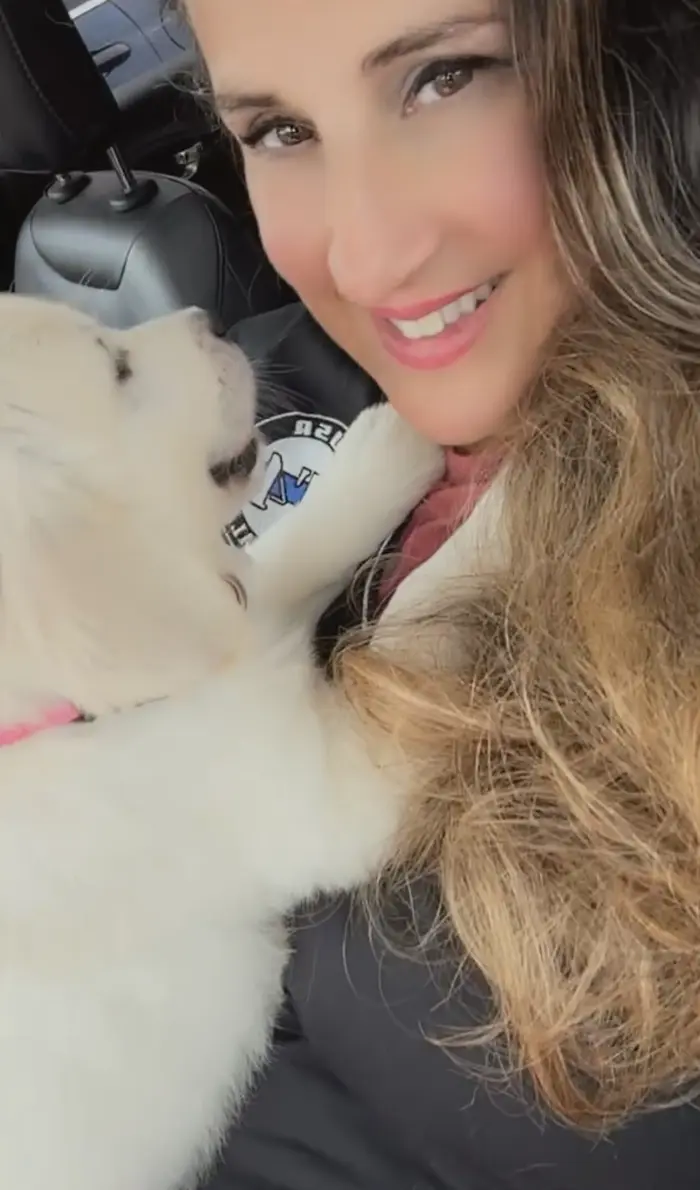 Cinderella ( cinderellathepuppy )