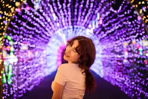 Sara Dargam