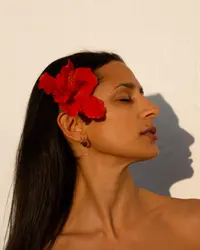 Debora Rania ( deborarania )