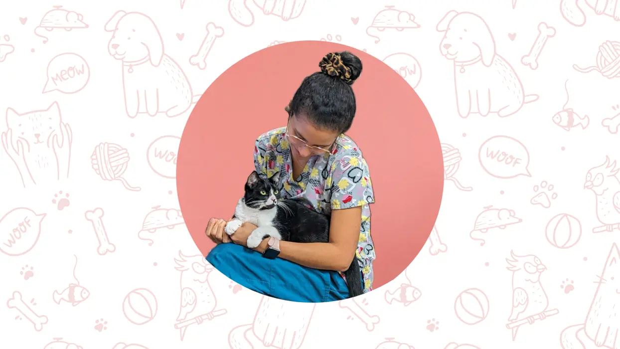 Innervet ( innervet )