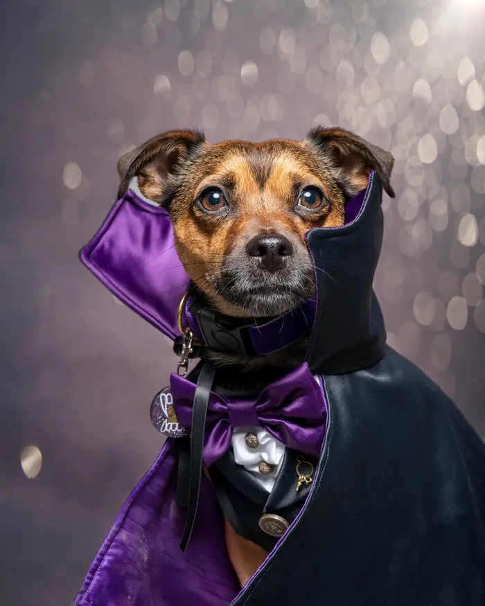 Jango O’Malley ( jangothejug )