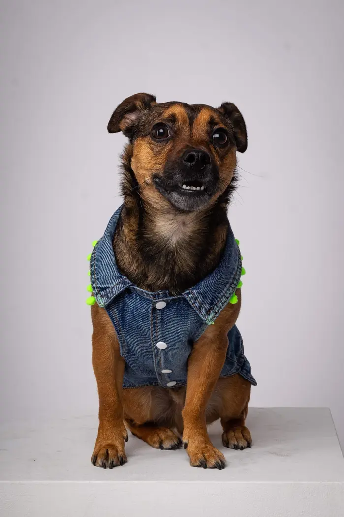 Jango O’Malley ( jangothejug )