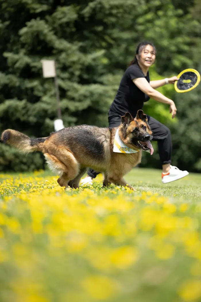Adele Zhang ( jupithegsd )