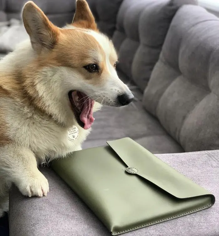 Loyd ( loydkingcorg )