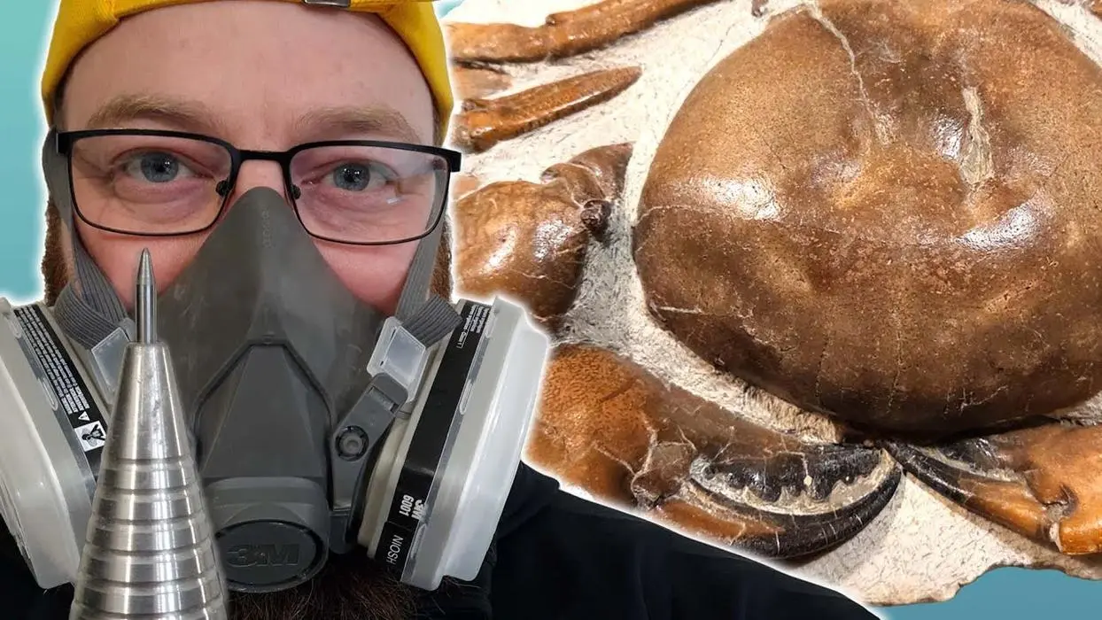 Mamlambo Fossils ( mamlambofossils )