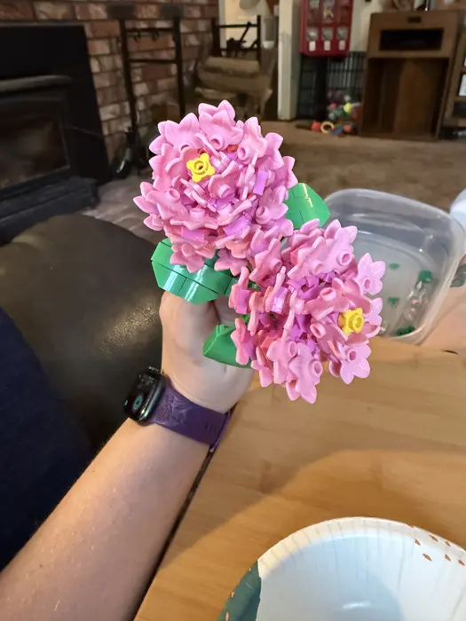 Rose Knopp ( mrsrosemk )