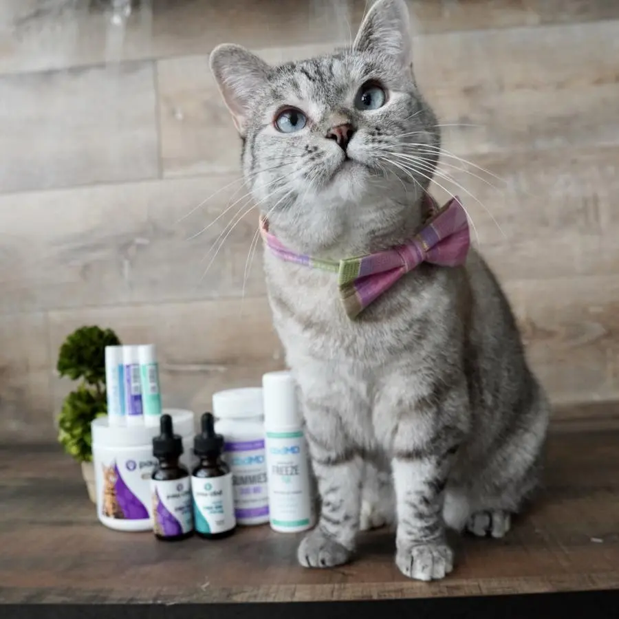 Varisiri Methachittiphan ( nalacat )