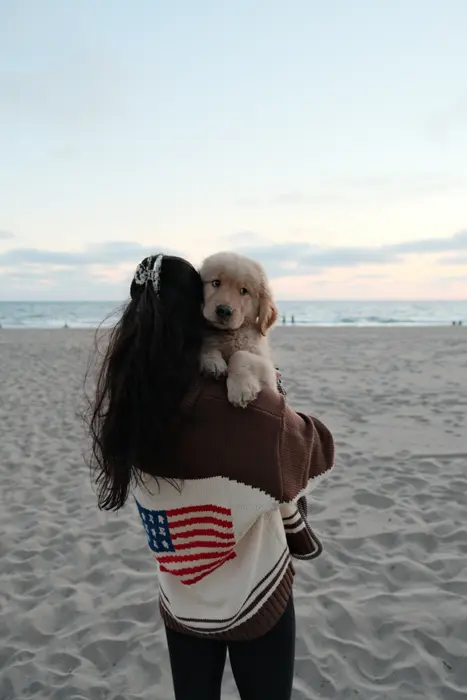 Peyton & Romeo 🐾 ( ourgoldenromeo )