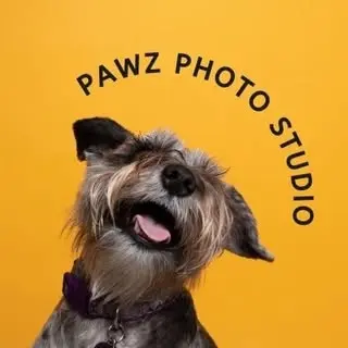 Pawz Photo Studio ( pawzphotostudio )