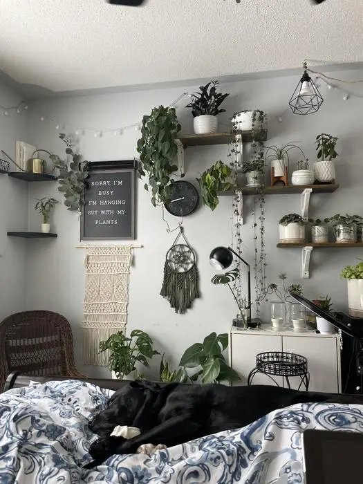 Teresa Maynard ( plantcarewithme )