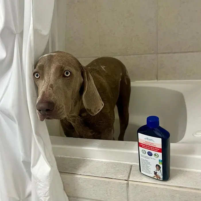Ramona ( ramonatheweim )