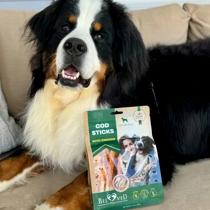 Riggie The Berner ( riggietheberner )