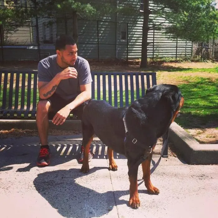 Brayan ( rottweilerlandofficial )