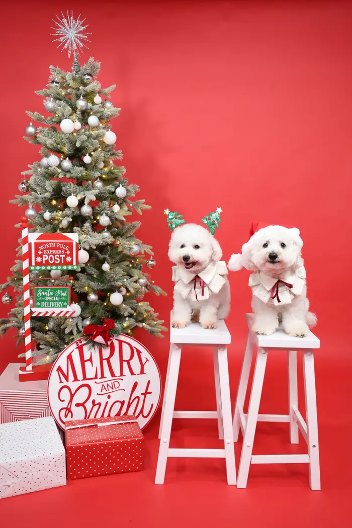 Sammy And Gabby ( sammyandgabby )