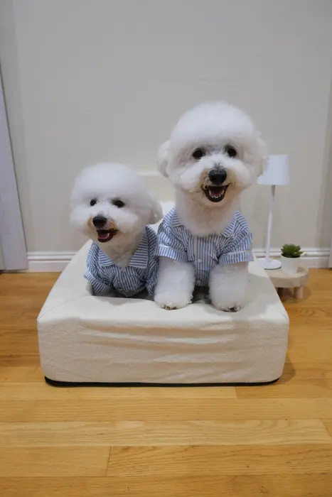 Sammy And Gabby ( sammyandgabby )