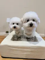 Sammy And Gabby ( sammyandgabby )