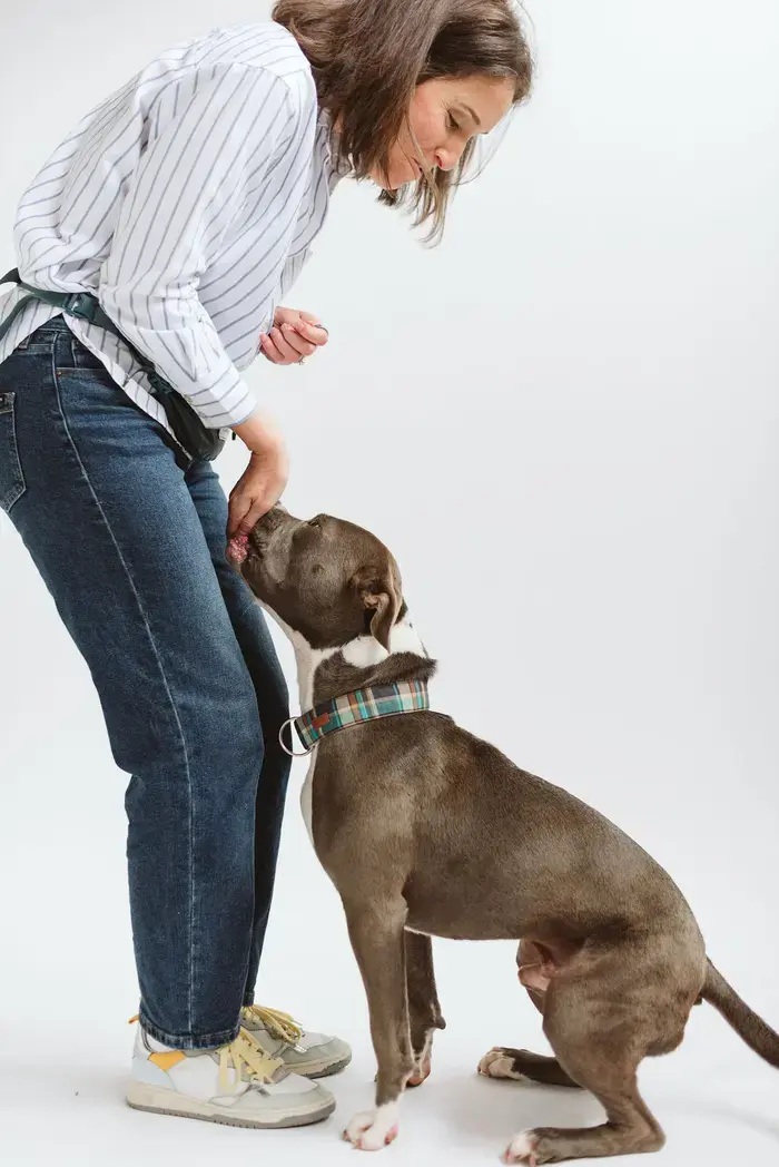 Christie Catan ( tailsofconnection )