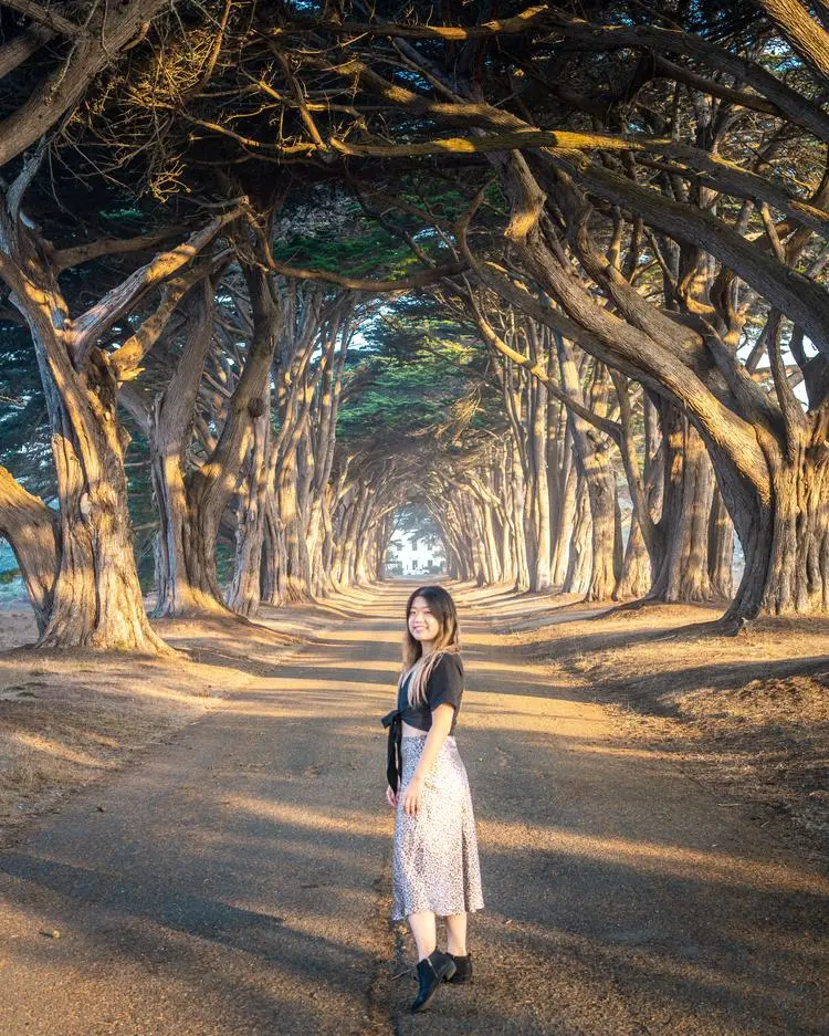 Tiffany Liu ( takeonefortheroad )