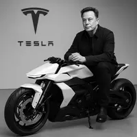 Evfluxx ( teslavibe )