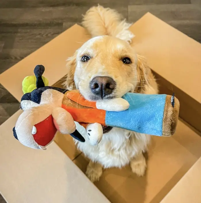 Caitlyn Gould ( thepeachypup )