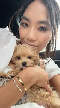 Toby ( tobythetoymaltipoo )