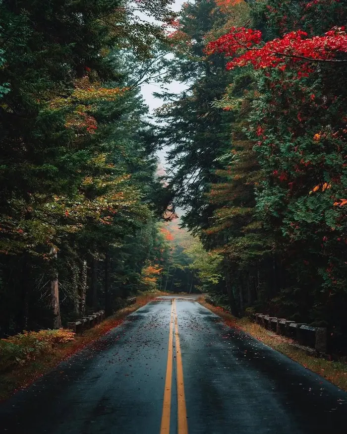 Visit The Usa ( visittheamerica )
